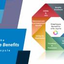 The Employee Benefits Lifecycle Custom dimensions Posts